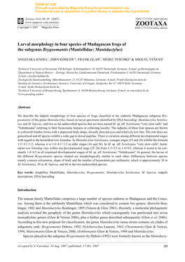 Zootaxa,Larval Morphology in Four Species of Madagascan Frogs Of