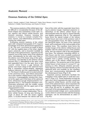 Osseous Anatomy of the Orbital Apex