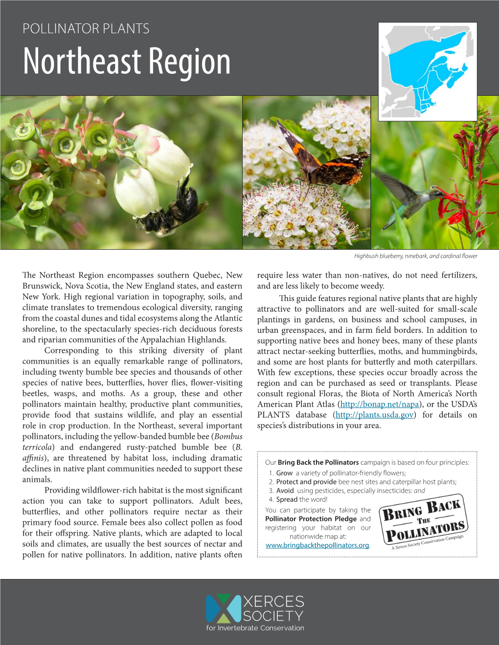 Pollinator Plants for the Northeast Region Was Produced by the Xerces® Society