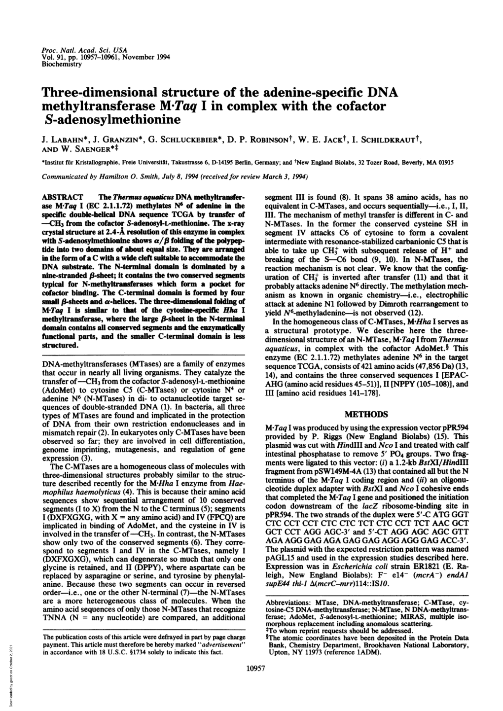 S-Adenosylmethionine J