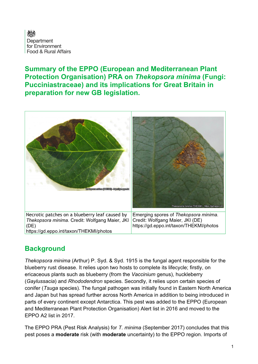 Thekopsora Minima (Fungi: Pucciniastraceae) and Its Implications for Great Britain in Preparation for New GB Legislation