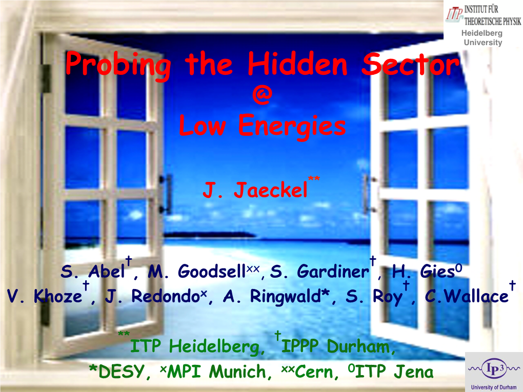 Probing the Hidden Sector @ Low Energies