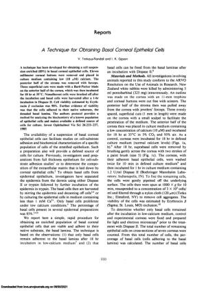 A Technique for Obtaining Basal Corneal Epithelial Cells