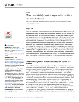 Mitochondrial Dynamics in Parasitic Protists