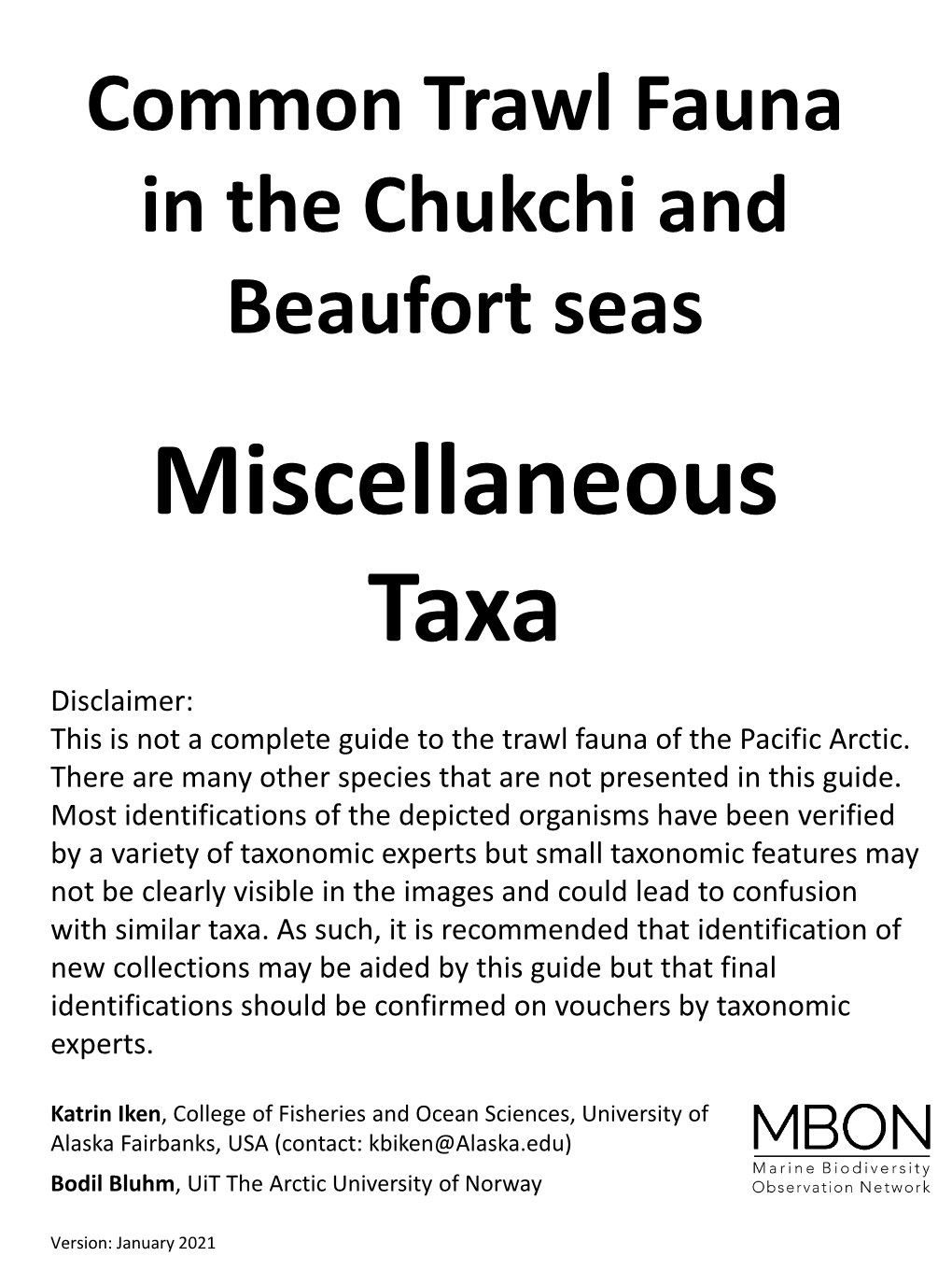 Miscellaneous Taxa Disclaimer: This Is Not a Complete Guide to the Trawl Fauna of the Pacific Arctic