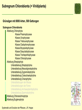 Subregnum Chlorobionta (= Viridiplanta)