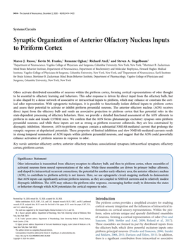 Synaptic Organization of Anterior Olfactory Nucleus Inputs to Piriform Cortex