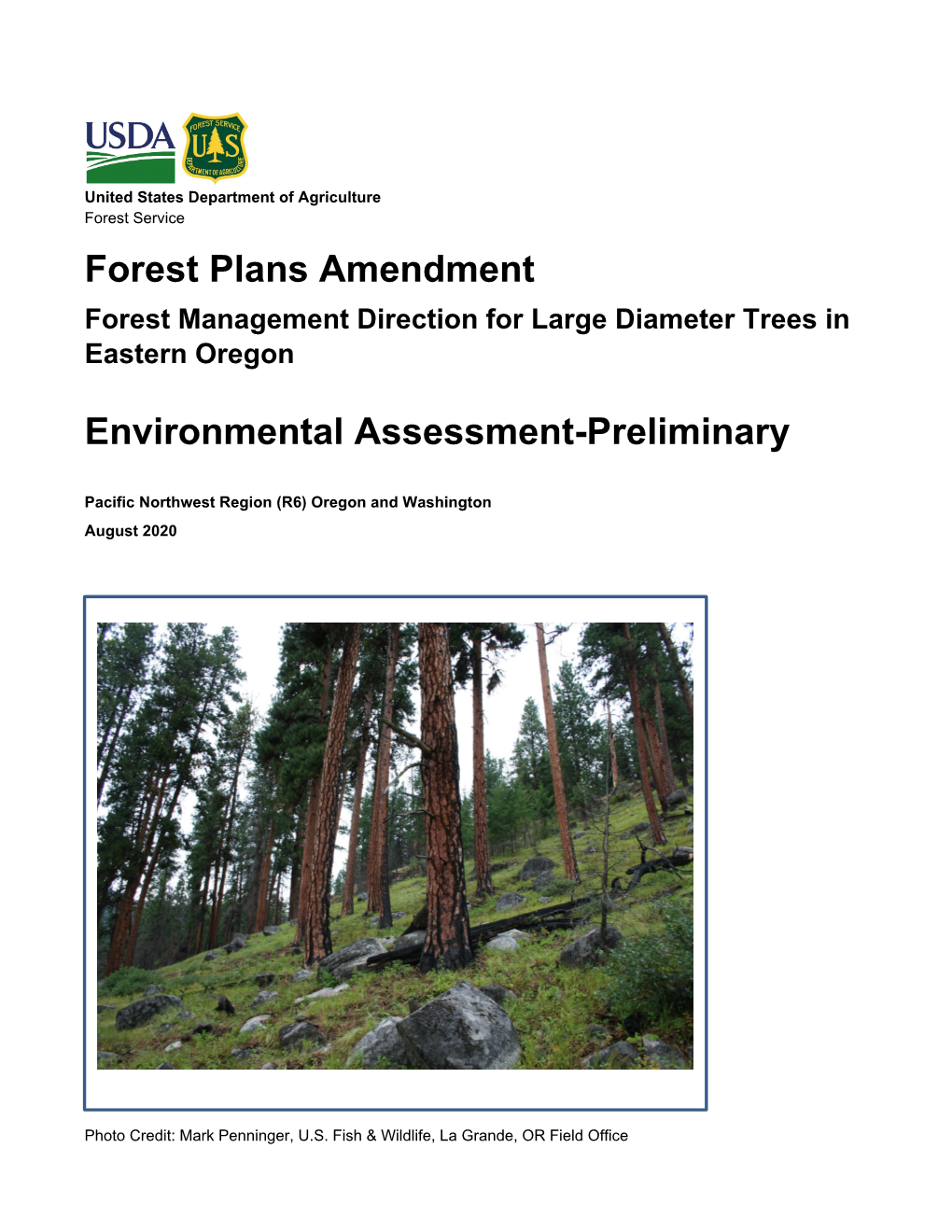 Environmental Assessment-Preliminary