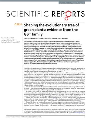 Shaping the Evolutionary Tree of Green Plants: Evidence from the GST Family