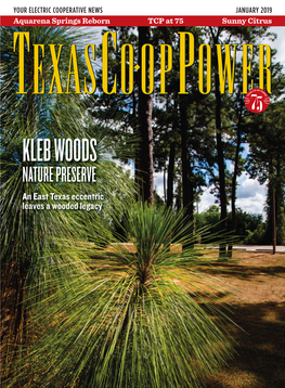 Texas Eccentric Leaves a Wooded Legacy
