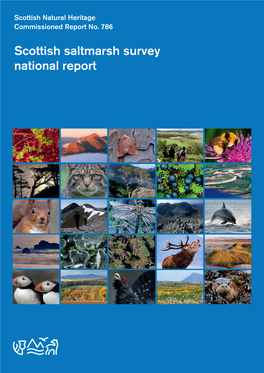 Scottish Saltmarsh Survey National Report (SNH)