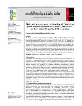 Molecular Phylogenetic Relationship of Thiaridean Genus Tarebia Lineate