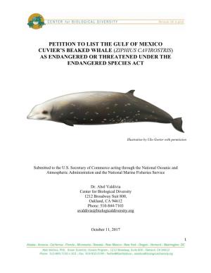 Petition to List the Gulf of Mexico Cuvier's Beaked Whale As