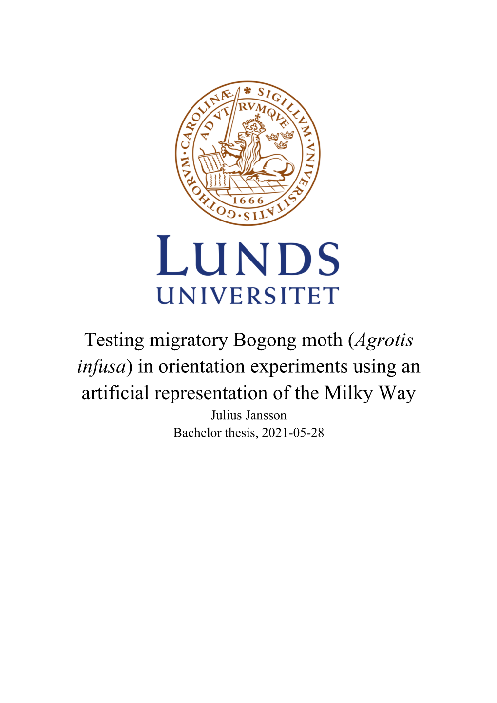 Testing Migratory Bogong Moth (Agrotis Infusa) in Orientation