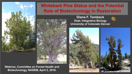 Whitebark Pine Status and the Potential Role of Biotechnology in Restoration Diana F