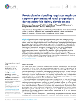 Prostaglandin Signaling Regulates Nephron Segment Patterning Of