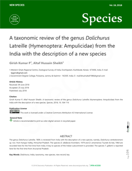 A Taxonomic Review of the Genus Dolichurus Latreille (Hymenoptera: Ampulicidae) from the India with the Description of a New Species
