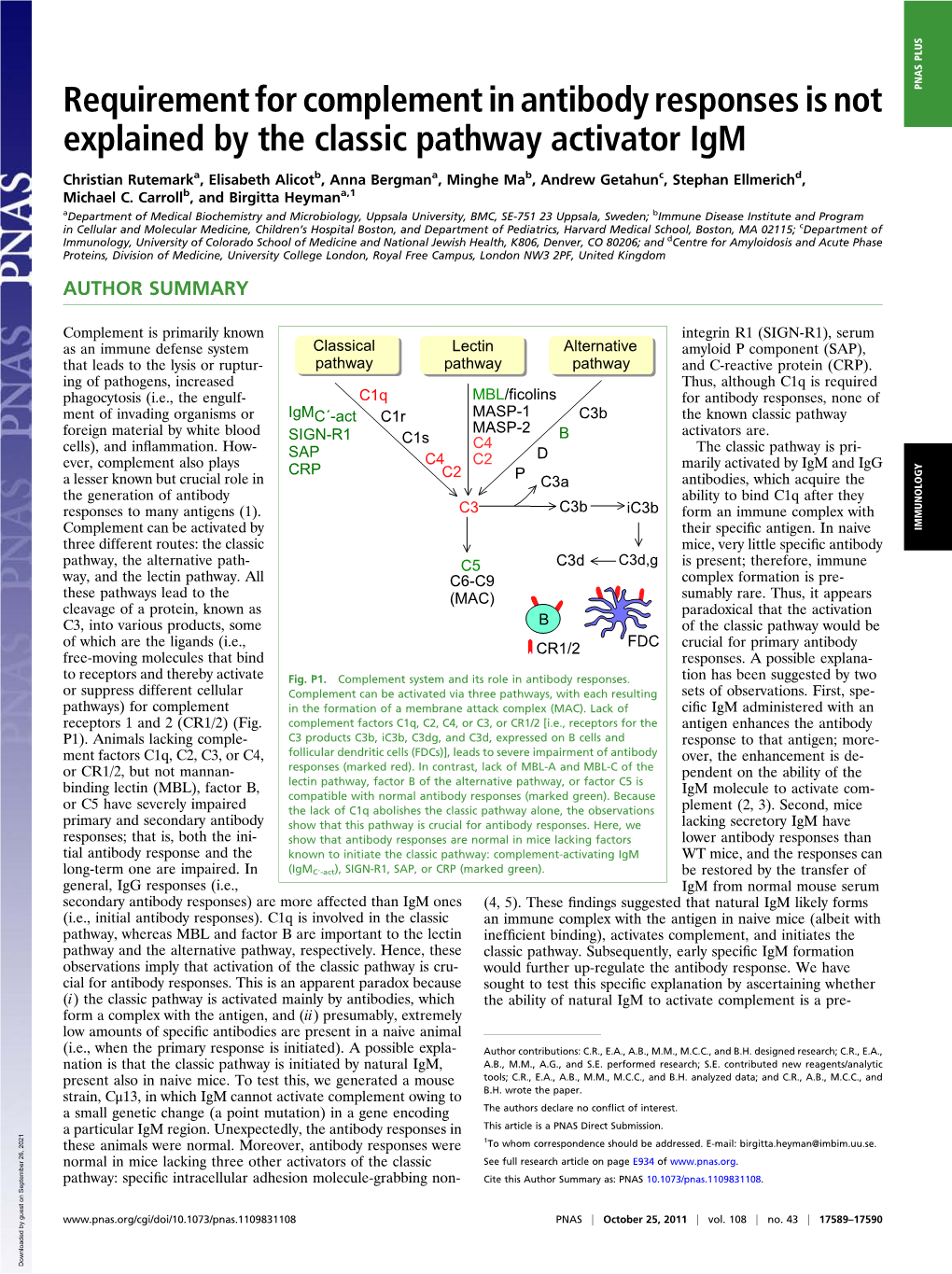 requirement-for-complement-in-antibody-responses-is-not-pnas-plus