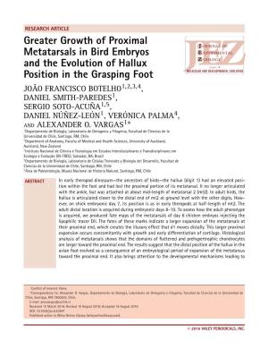 Greater Growth of Proximal Metatarsals in Bird Embryos And