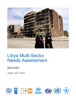 Libya Multi-Sector Needs Assessment; Report