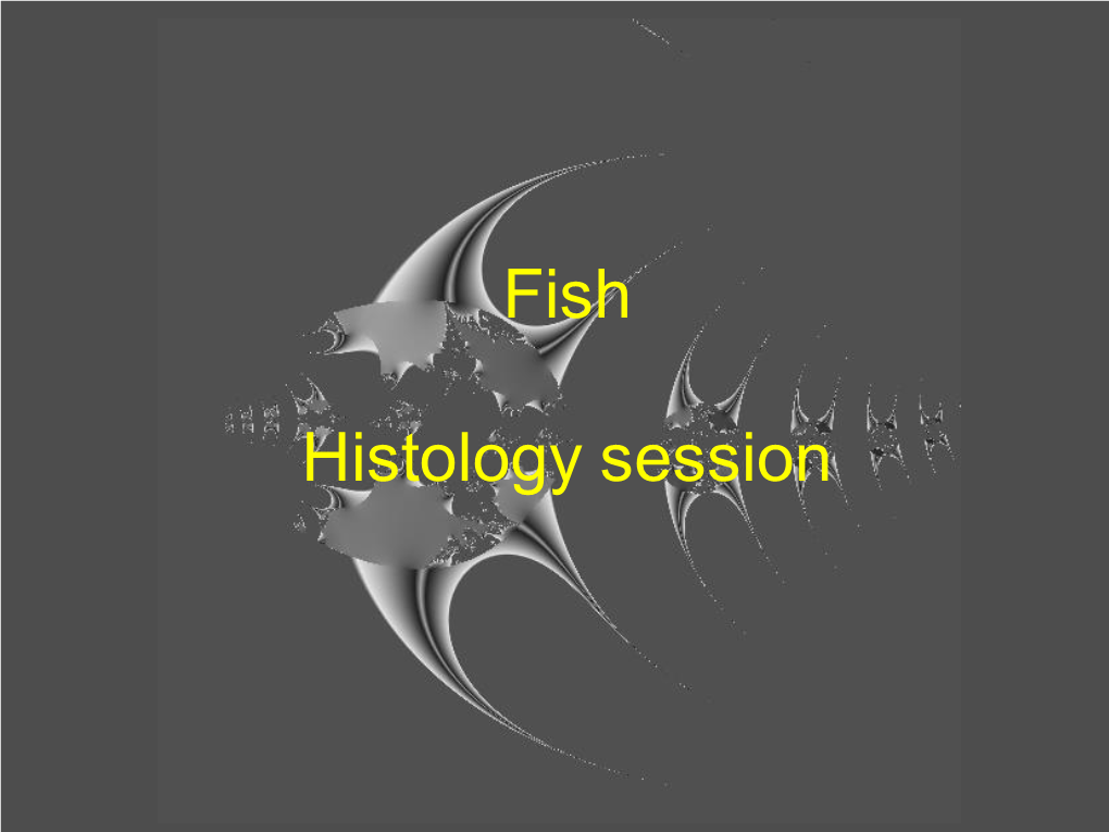 Fish Histology Session