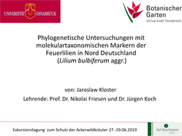 Phylogenetische Untersuchungen Mit Molekulartaxonomischen Markern Der Feuerlilien in Nord Deutschland (Lilium Bulbiferum Aggr.)