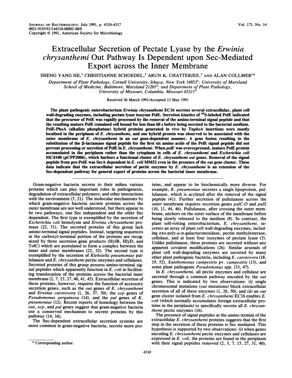 Chrysanthemi out Pathway Is Dependent Upon Sec-Mediated Export Across the Inner Membrane SHENG YANG HE,' CHRISTIANNE SCHOEDEL,2 ARUN K