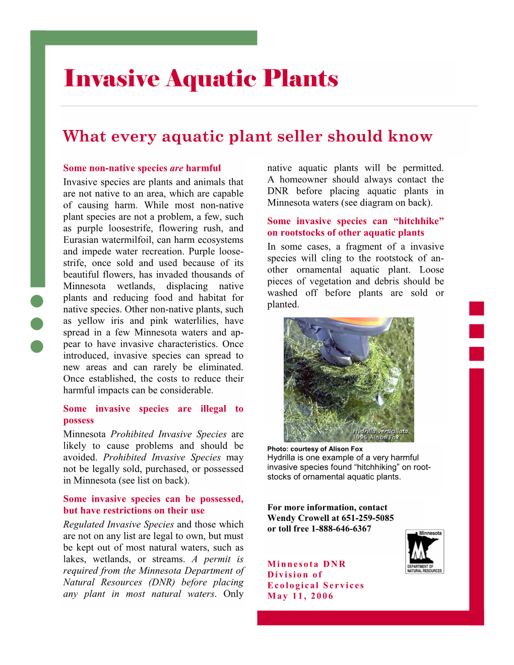 Invasive Aquatic Plants