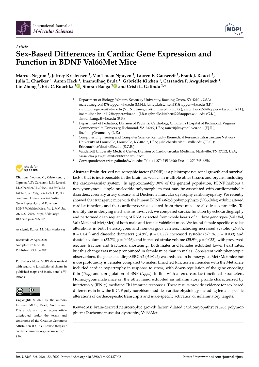 Sex-Based Differences in Cardiac Gene Expression and Function in BDNF Val66met Mice