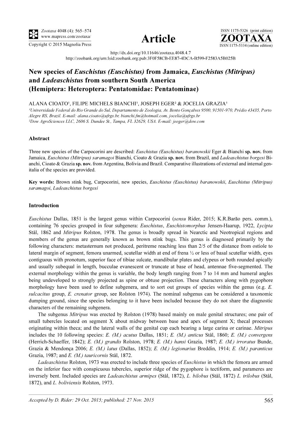 From Jamaica, Euschistus (Mitripus) and Ladeaschistus from Southern South America (Hemiptera: Heteroptera: Pentatomidae: Pentatominae)