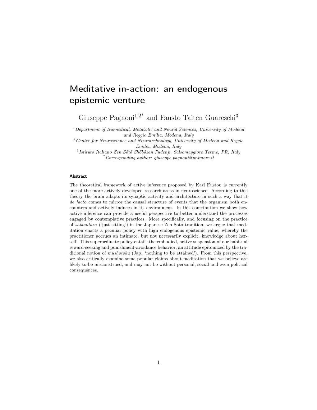 Meditative In-Action: an Endogenous Epistemic Venture