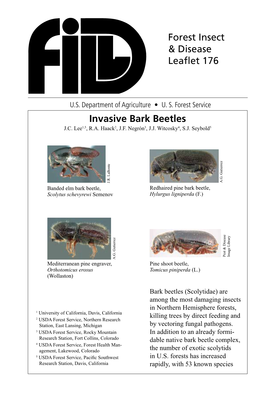 Invasive Bark Beetles Forest Insect & Disease Leaflet