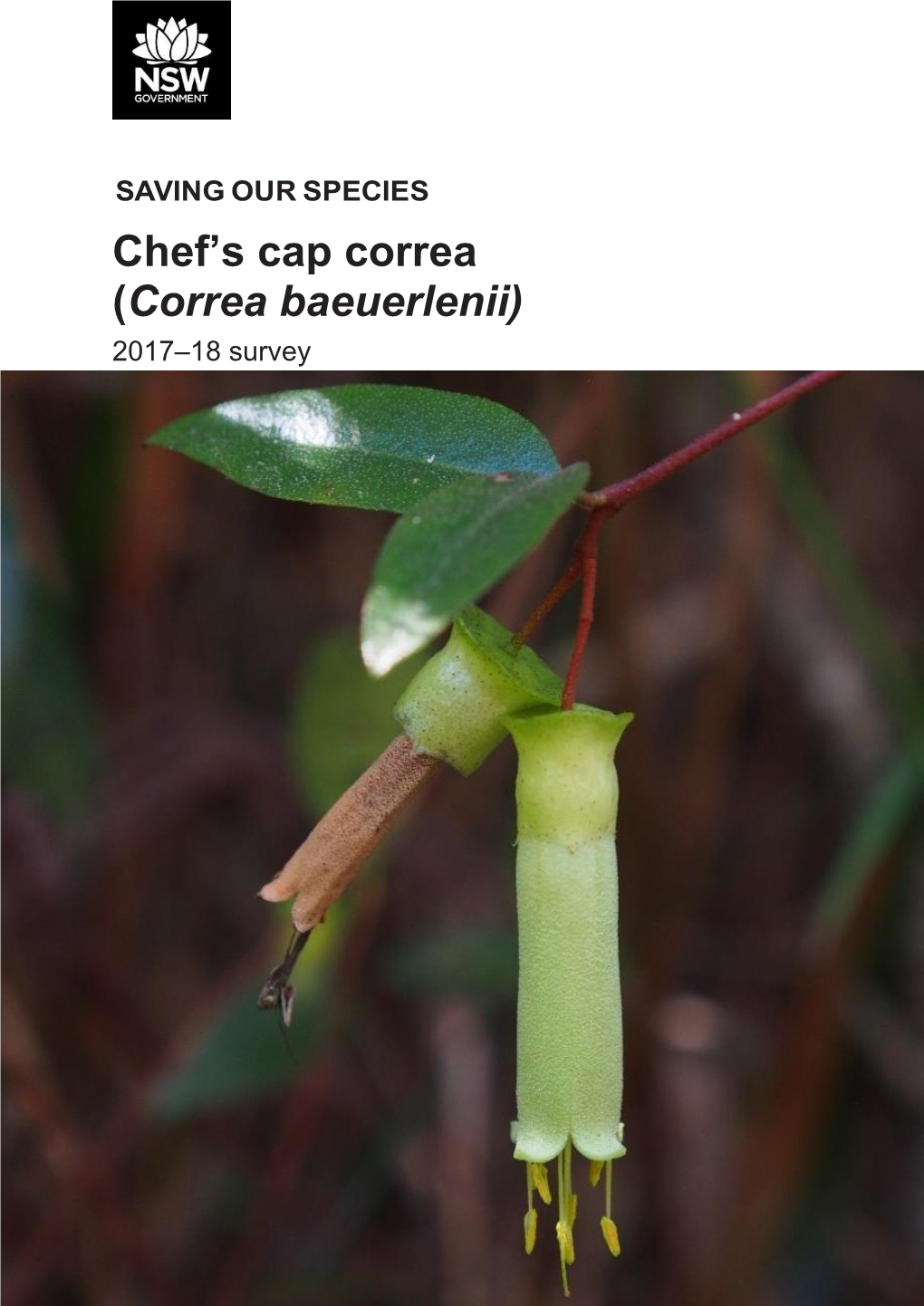 Chef's Cap Correa (Correa Baeuerlenii): 2017-18 Survey