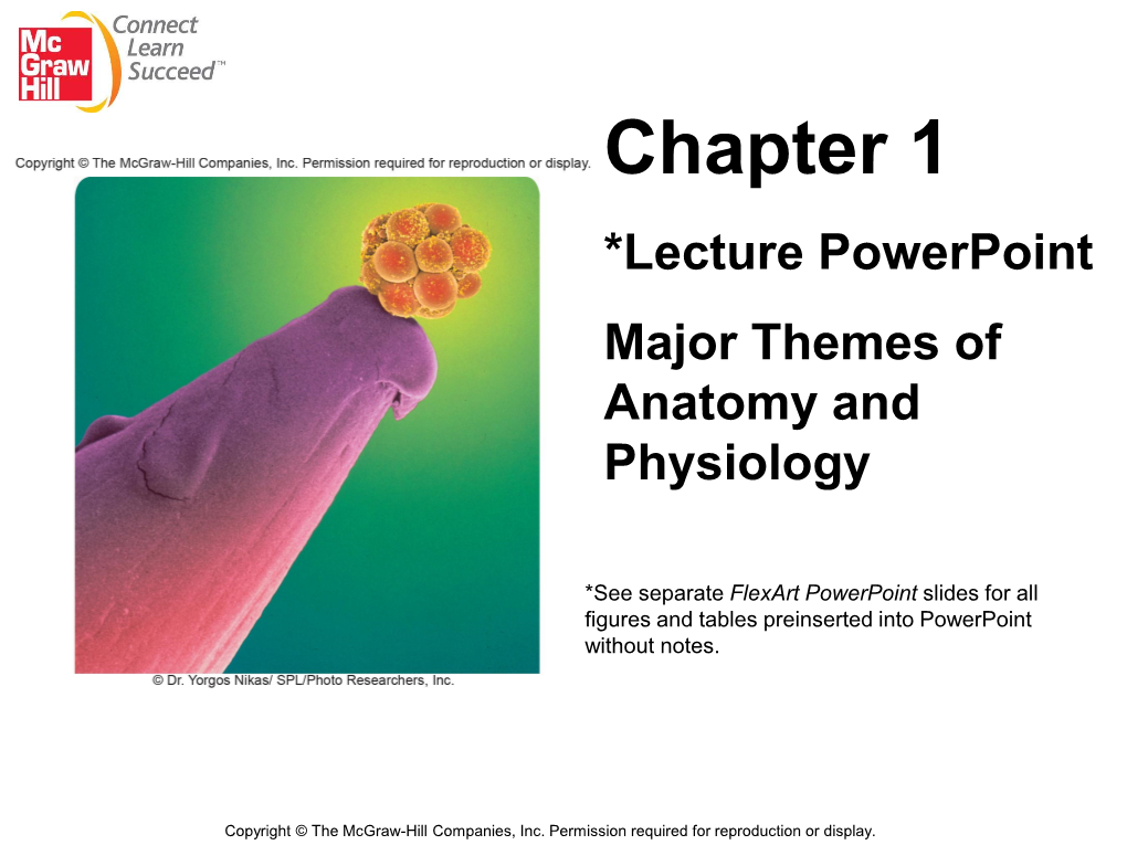 Chapter 1 *Lecture Powerpoint Major Themes of Anatomy and Physiology