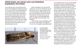 Athetis Hospes, Een Nieuwe Soort Voor Nederland (Lepidoptera: Noctuidae)