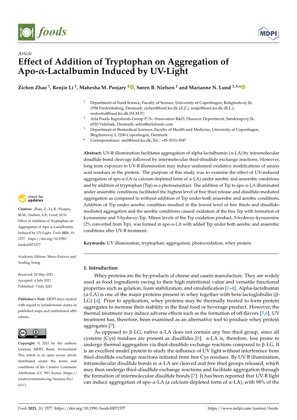 Effect of Addition of Tryptophan on Aggregation of Apo–Lactalbumin Induced by UV-Light