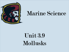 Unit 3.9 Mollusks Marine Science