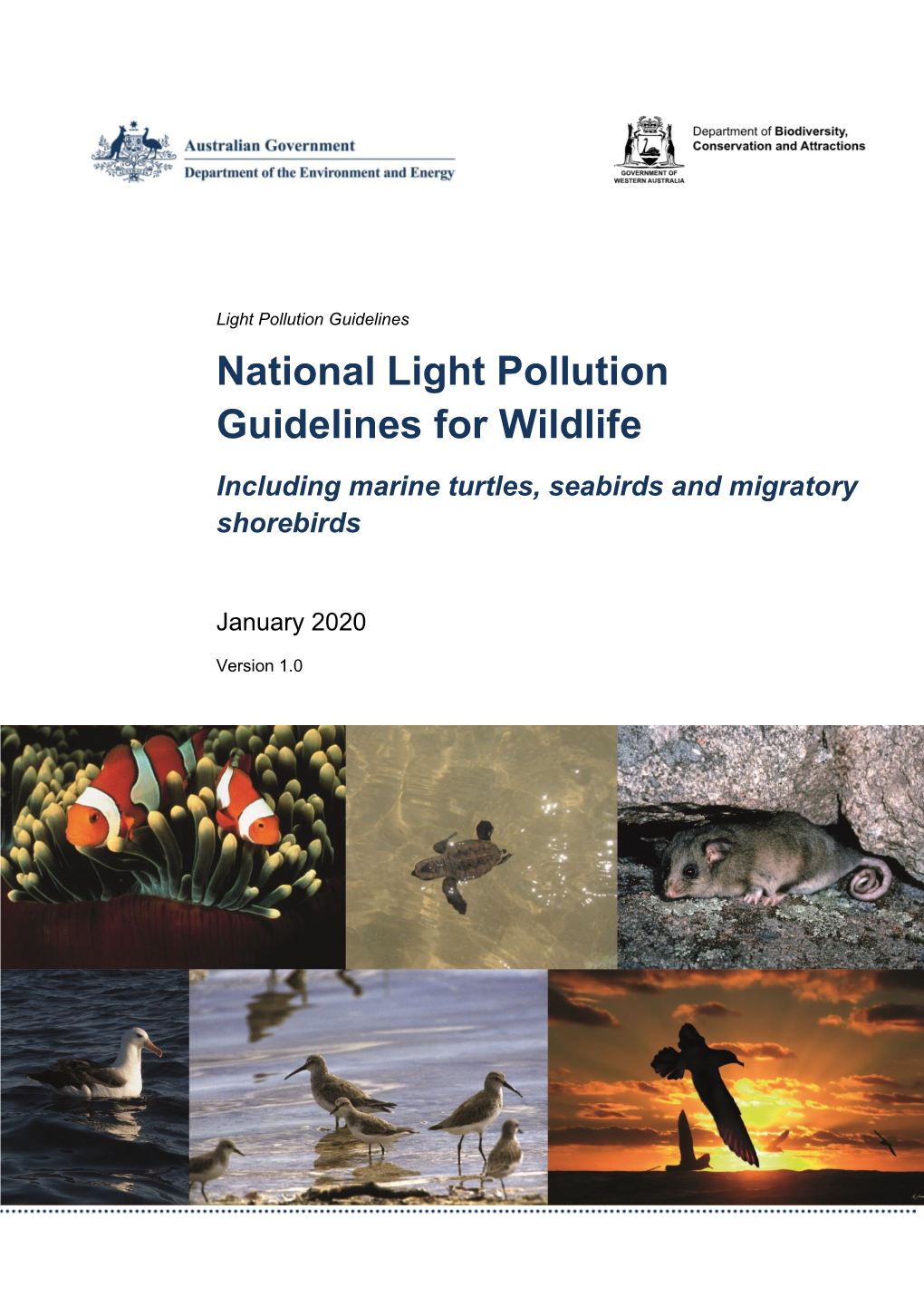 National Light Pollution Guidelines for Wildlife Including Marine Turtles, Seabirds and Migratory Shorebirds