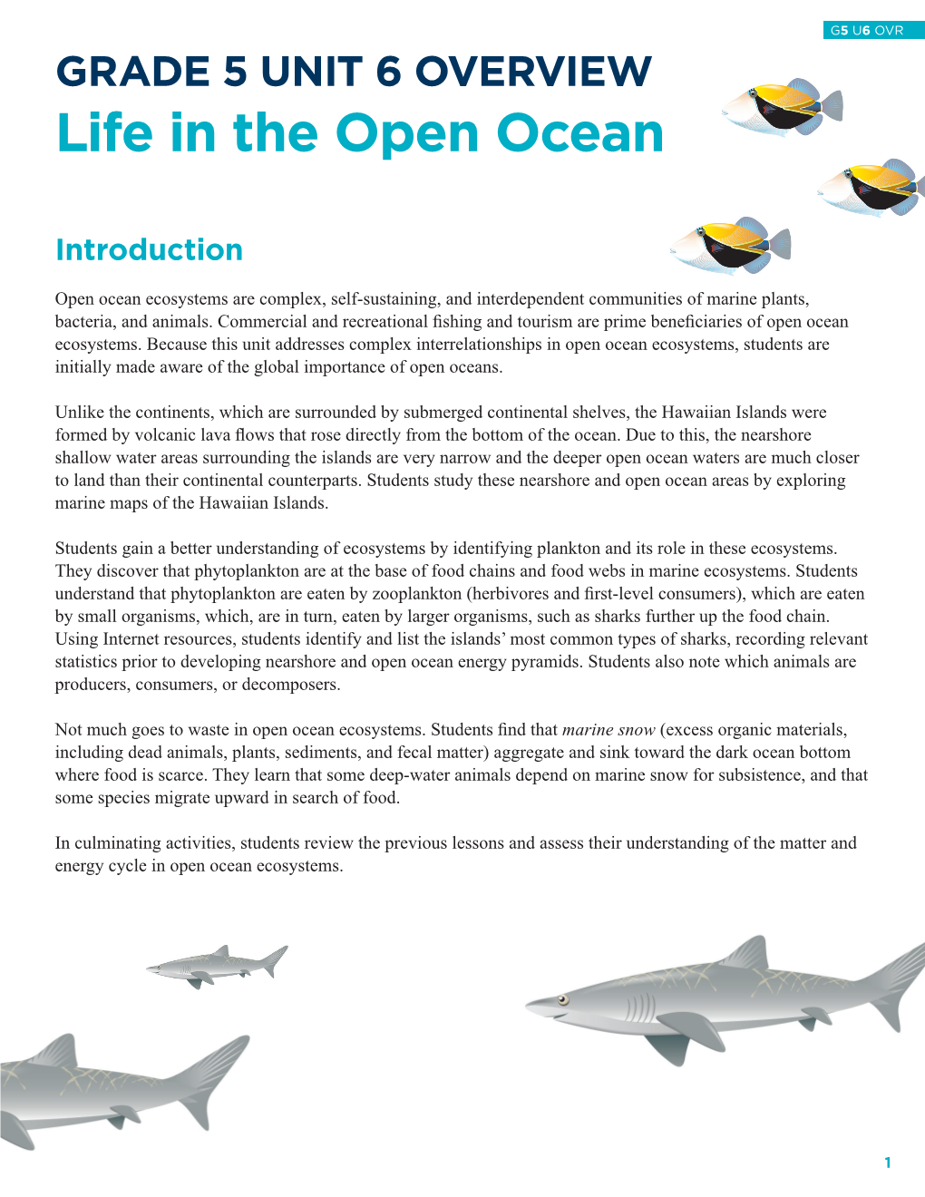 Life in the Open Ocean