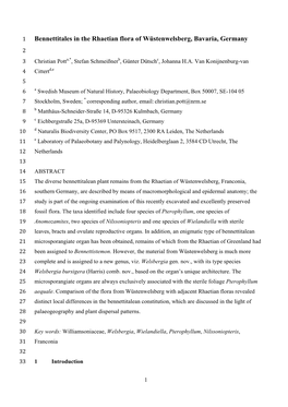 Bennettitales in the Rhaetian Flora of Wüstenwelsberg, Bavaria, Germany 2 3 Christian Potta,*, Stefan Schmeißnerb, Günter Dütschc, Johanna H.A