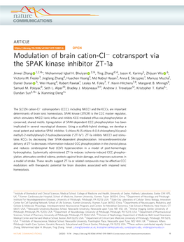 Modulation of Brain Cation-Clâˆ' Cotransport Via the SPAK Kinase