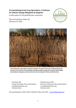 Perennializing Grain Crop Agriculture: a Pathway for Climate Change Mitigation & Adaption a White Paper for the Philanthropic Community