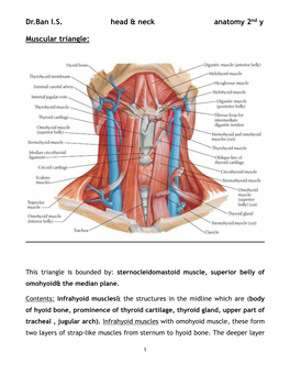 Dr.Ban I.S. Head & Neck Anatomy 2Nd Y Muscular Triangle