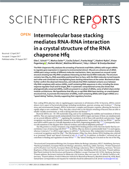 Intermolecular Base Stacking Mediates RNA-RNA Interaction in a Crystal