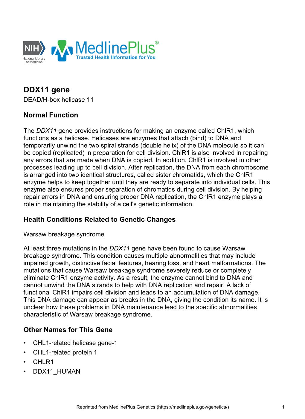DDX11 Gene DEAD/H-Box Helicase 11