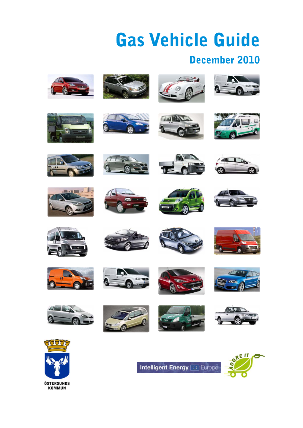 Gas Vehicle Guide December 2010