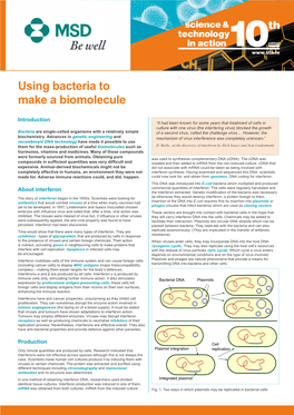 Using Bacteria to Make a Biomolecule Using Bacteria to Make a Biomolecule