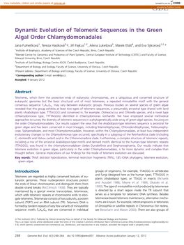 Dynamic Evolution of Telomeric Sequences in the Green Algal Order Chlamydomonadales