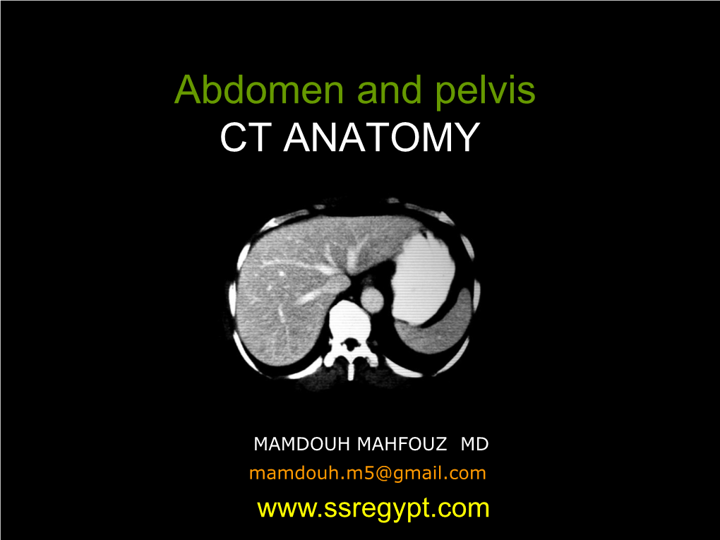 Abdomen and Pelvis CT ANATOMY