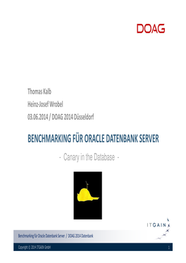 BENCHMARKING FÜR ORACLE DATENBANK SERVER - Canary in the Database